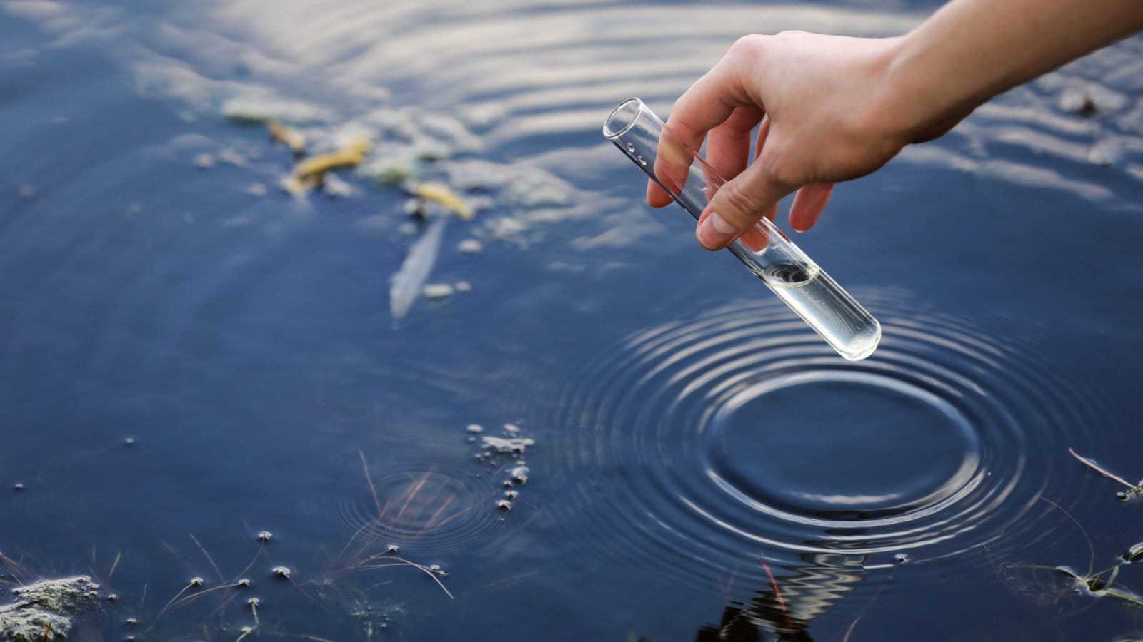 Water Quality Index